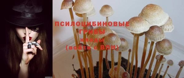 марки nbome Беломорск