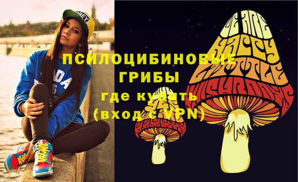 мет Белокуриха