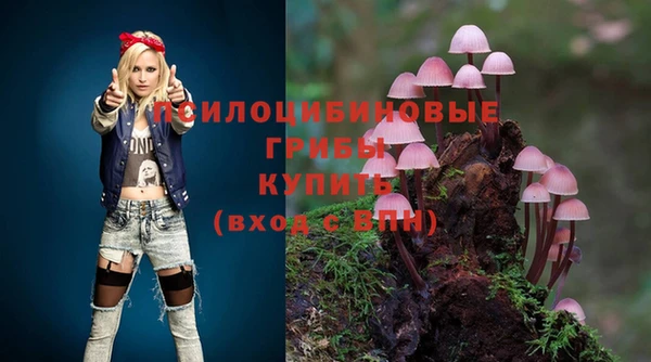 мет Белокуриха