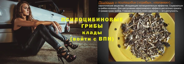 мет Белокуриха