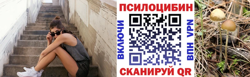 OMG рабочий сайт  Вязники  Галлюциногенные грибы MAGIC MUSHROOMS  закладка 